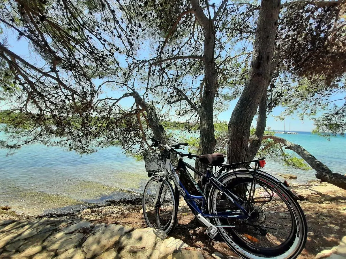 Apartmani Zaton Zaton  Zaton (Zadar)