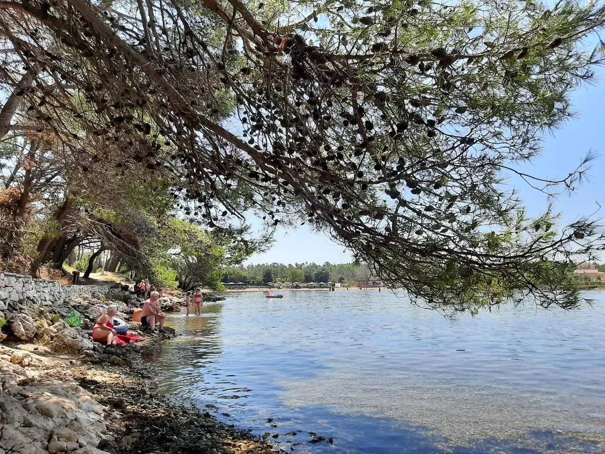 Apartmani Zaton Zaton  0*, Zaton (Zadar) Chorwacja