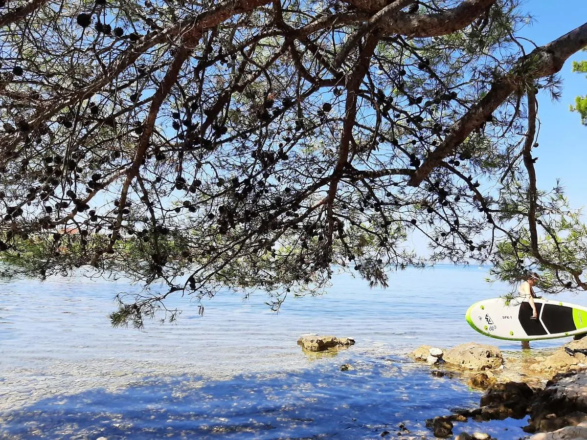Apartmani Zaton Zaton  Zaton (Zadar)